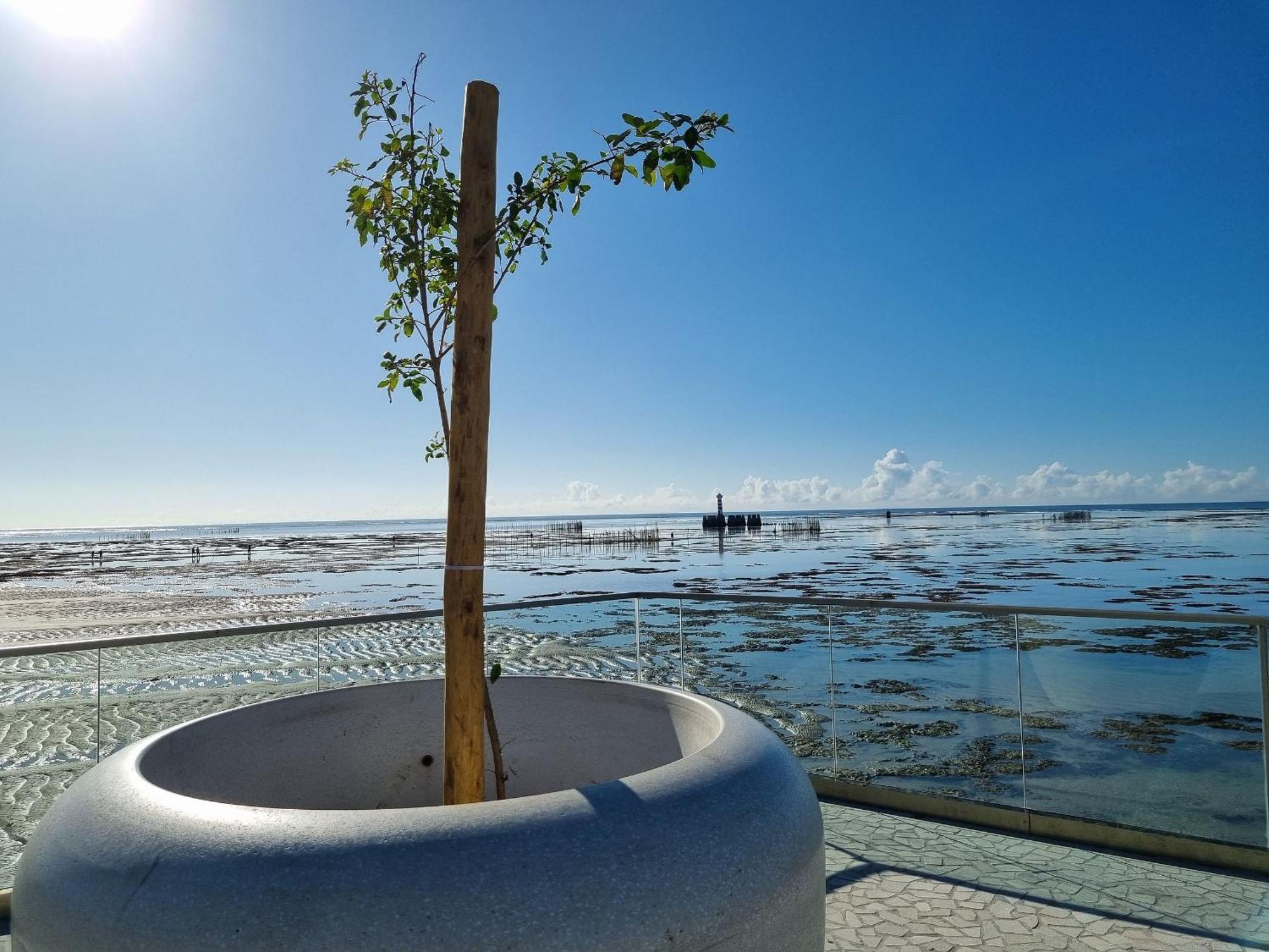 Pontaverde,wifi Rapida,piscina No Topo